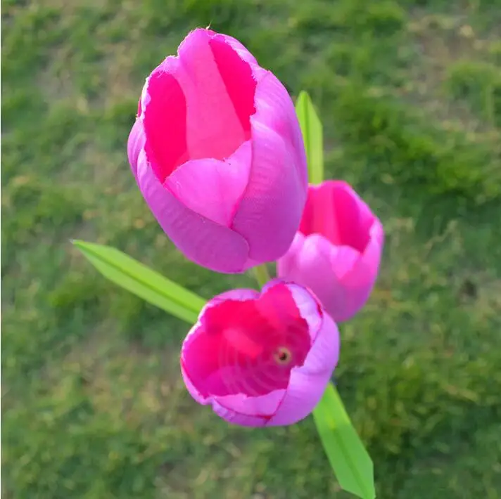 1pcs Solar da Flor do Tulip Solar Powered Luzes de Jardim ao ar livre Decorativo Paisagem LED Tulip Lâmpadas Caminho de Luzes para Festa de Jardim