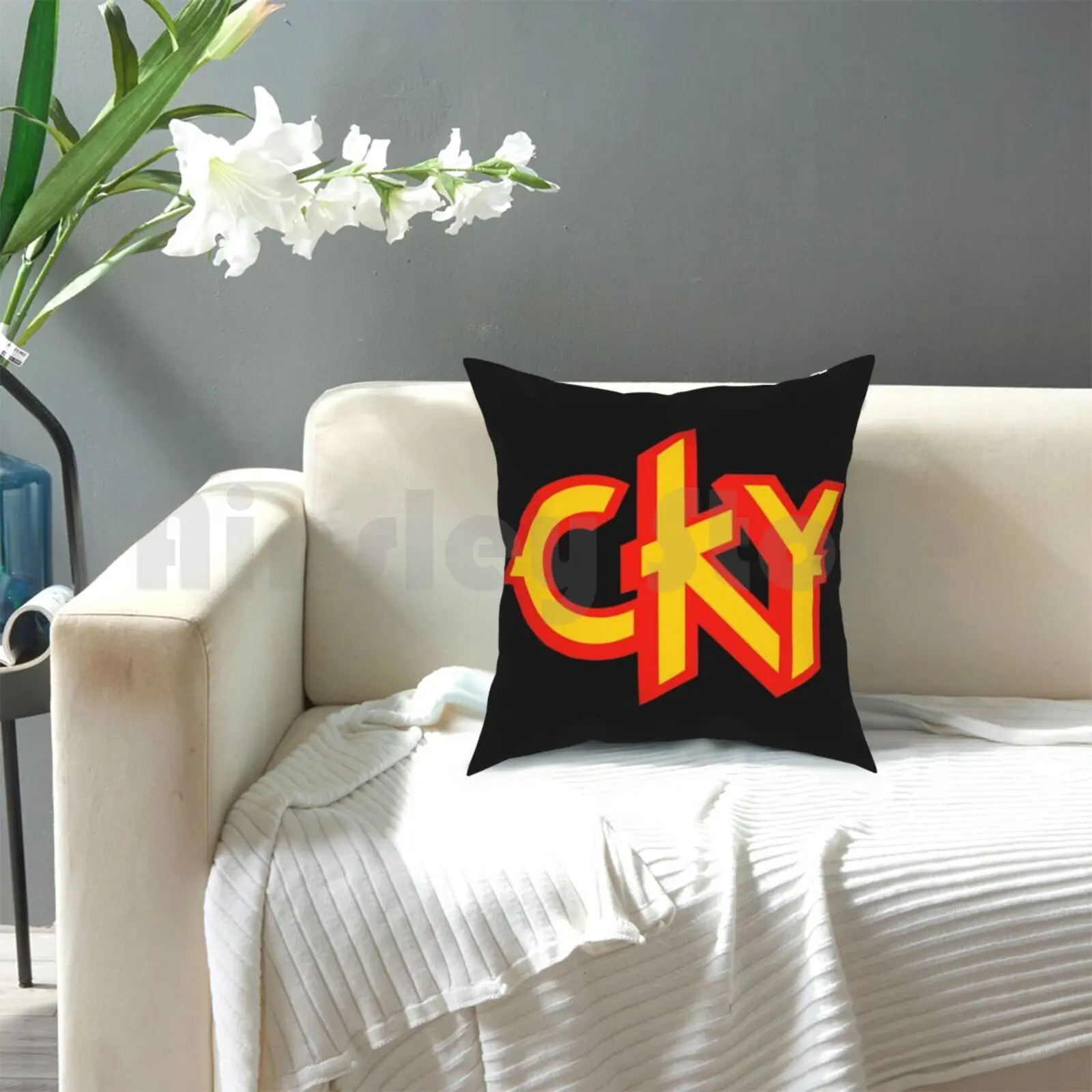 Cky Travesseiro Impresso Casa Macio DIY fronha de Cky Banda Idiota Viva La Bam Engraçado Bam Margera, Ryan Dunn bem-vindo Ao