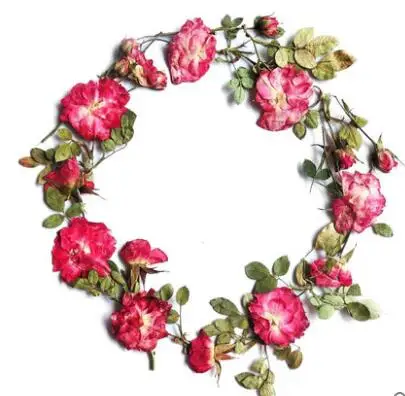5-10pcs/lot Vermelho Pétala de Rosa Pressionado Flores Pequenas Flores Secas para Diy ficha de Sabão Vela Fazendo