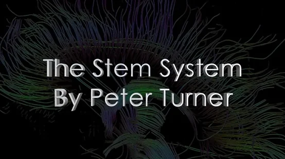 The S. T. E. M. System by Peter Turner 1-2,MaGiC TrIcKS