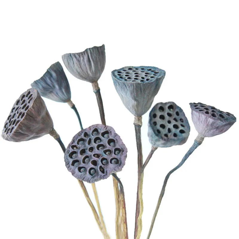 1 Pcs Dekoration De Qualidade Superior Decoração Seedpod De Lotus Com Hastes Real Plantas De Flores Secas Naturais Partido Home Office Decorativos