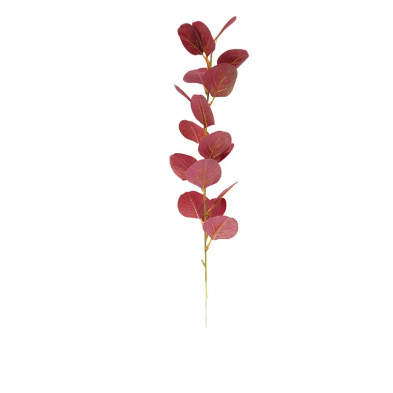 5pcs Natural Folhas de Eucalipto Branche Hastes de Flores Secas Real Fábrica de Ornamento para DIY Foto de Casamento Prop Decoração de Casa 11x56cm