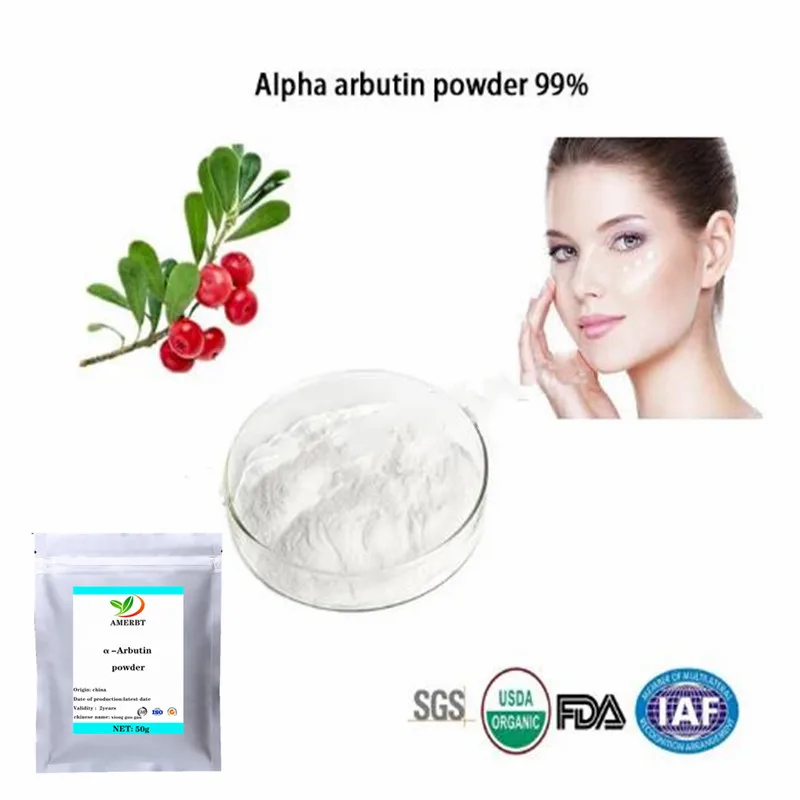 α - Arbutin Pó,Alfa Arbutin 99% de Clareamento da Pele Complemento,Face Escura da Beleza da Remoção do Anti-Envelhecimento Creme de Clareamento da Pele
