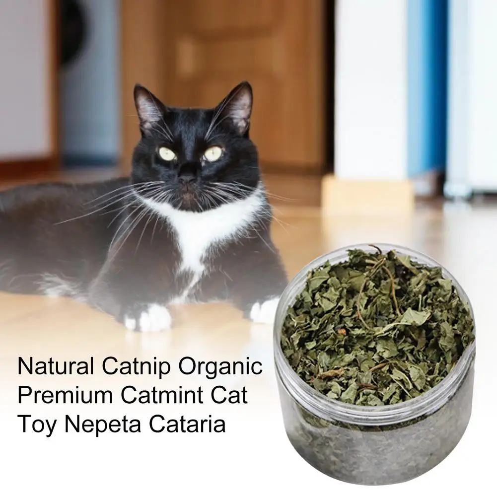 Natural Catnip Orgânico Premium Nêveda Brinquedo Do Gato Nepeta Cataria Para Eliminar Os Gatos Hairballs De Absorção De Alimentos Suplemento Vitamínico