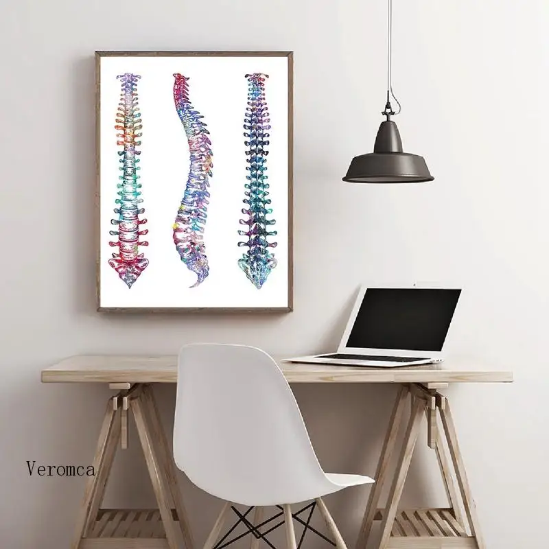 Moderna Decoração Simples Humanos Coluna Anatomia Arte de Parede de Lona da Pintura a medula Espinhal Biologia Vertebral Cartaz para o Médico do Office